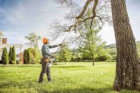 Best Leaf Removal  in Morro Bay, CA