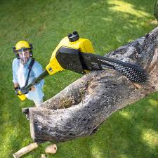Best Seasonal Cleanup (Spring/Fall)  in Morro Bay, CA